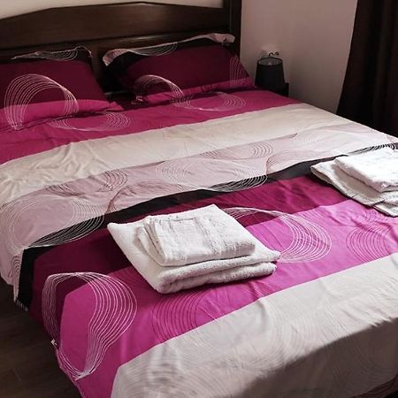 Apartament confortabil în Târgu Jiu Exterior foto